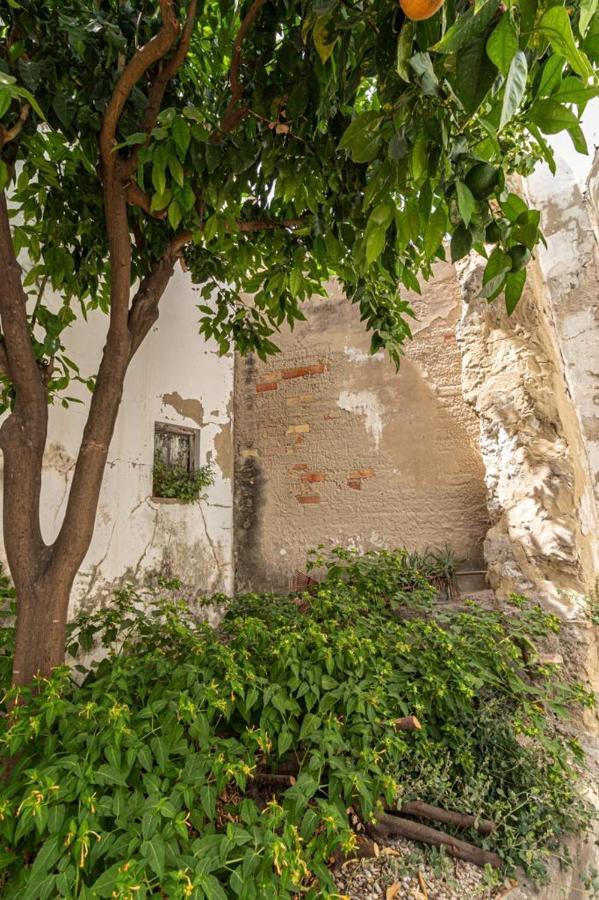 La Casa De Los Arcos - Casco Historico - Parking Opcional Jerez de la Frontera Dış mekan fotoğraf